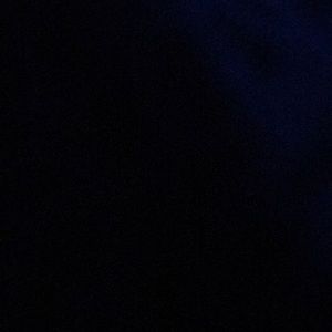 Meet your Posher, Bailey